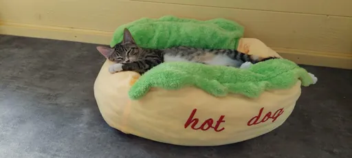 La Sauvetat du Dropt