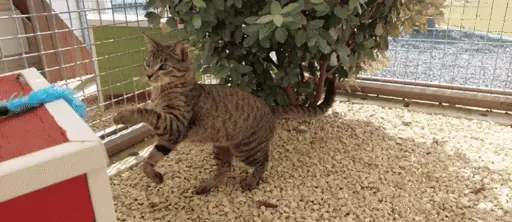 Fourques-sur-garonne