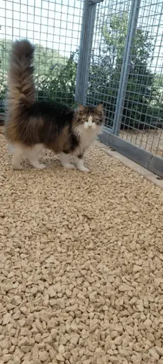 dans le lot-et-garonne