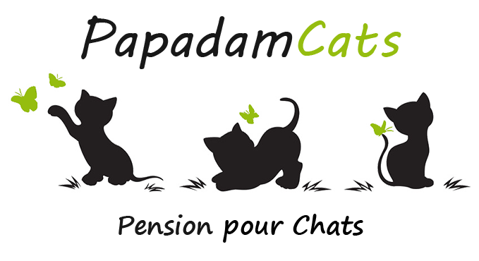 PapadamCats